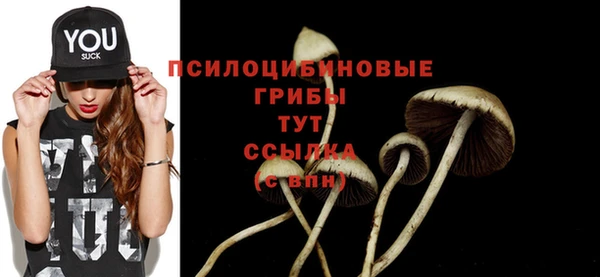 не бодяженный Магас