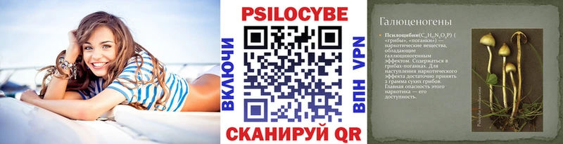 Псилоцибиновые грибы Psilocybine cubensis  площадка какой сайт  Нариманов  купить наркоту 